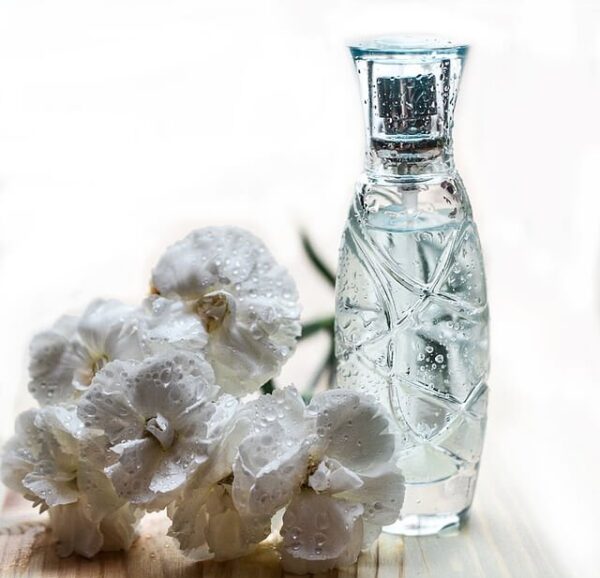 Normal glass - Ảnh 2